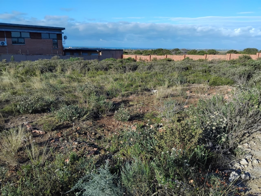 0 Bedroom Property for Sale in Fountains Estate Eastern Cape
